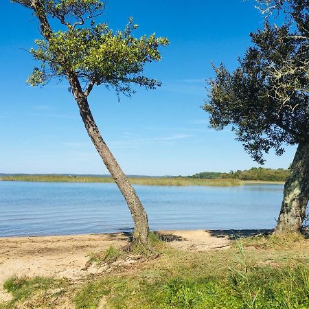 Maisonnette A 300 M Du Lac De Biscarrosse Exteriér fotografie